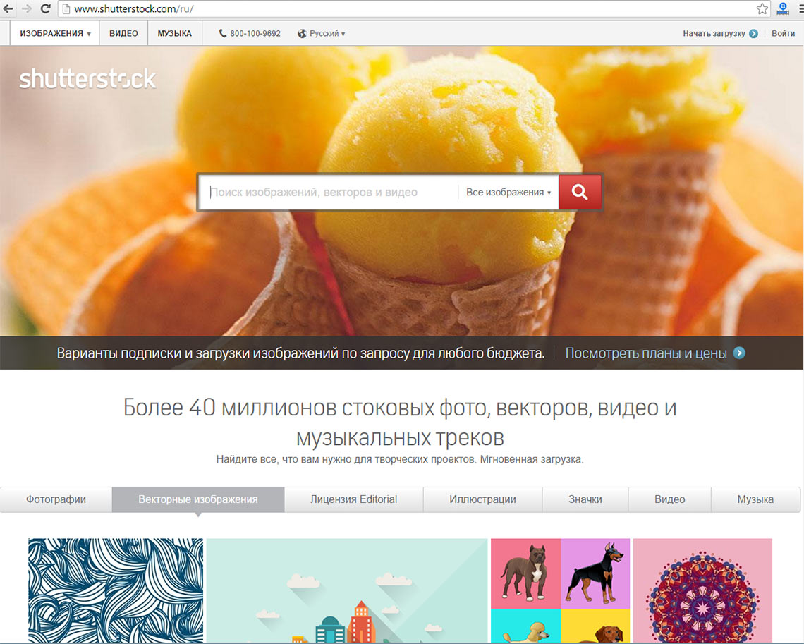 Поиск картинок на shutterstock.com