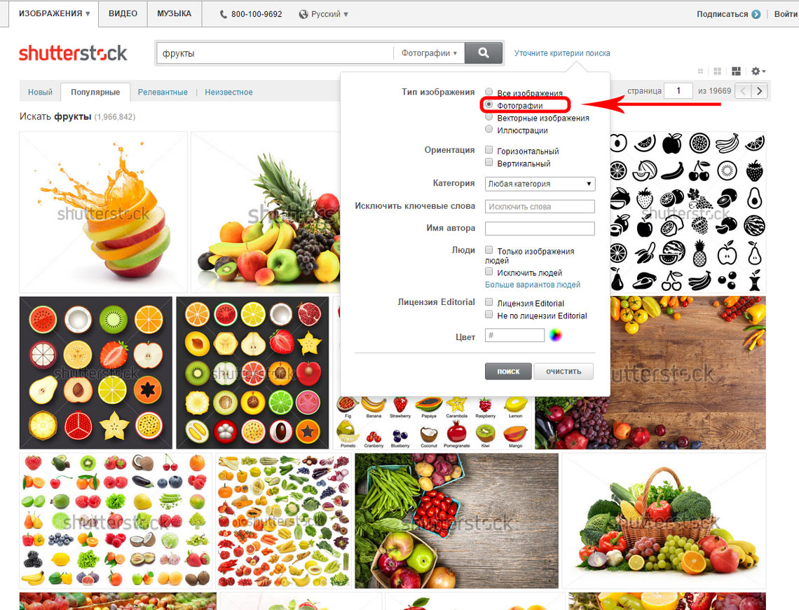 Поиск фотографий на shutterstock.com